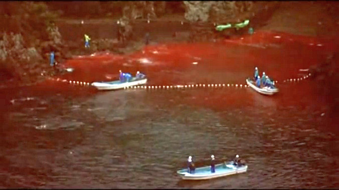Scéna z dokumentu The Cove - voda v zátoce rudne krví zabíjených delfínů Zdroj: vlastní, v souladu s pravidly fair use