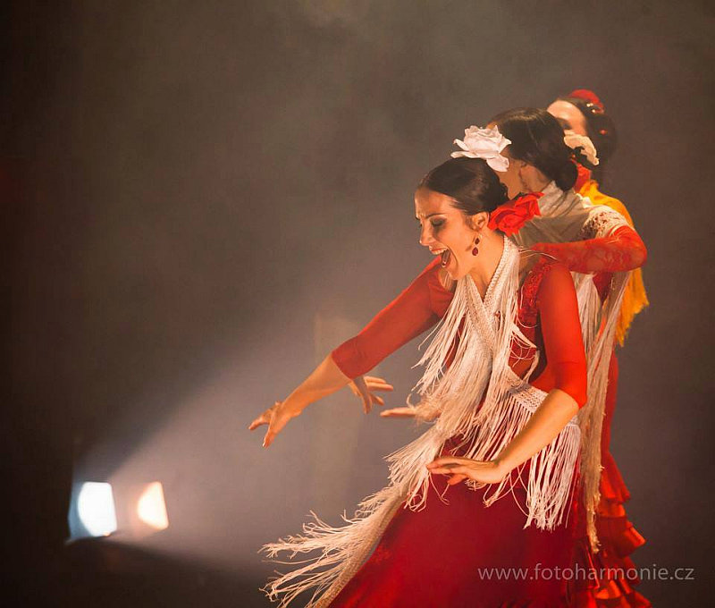 Mezinárodní den flamenca Foto: Foto Harmonie/FIESTA FLAMENCA, oficiální zdroj