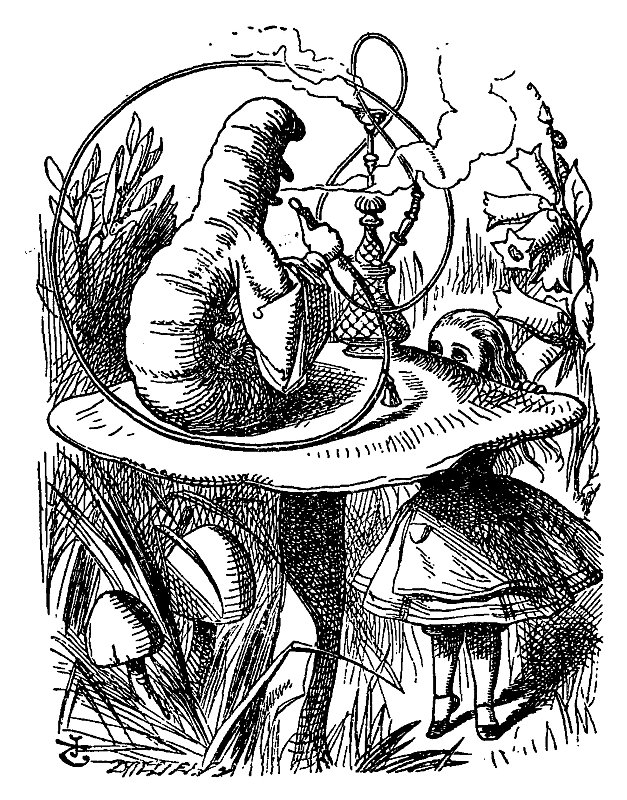 Lewis Carroll: Alenka v říši divů a za zrcadlem, ilustrace John Tenniel Zdroj: Wikimedia Commons